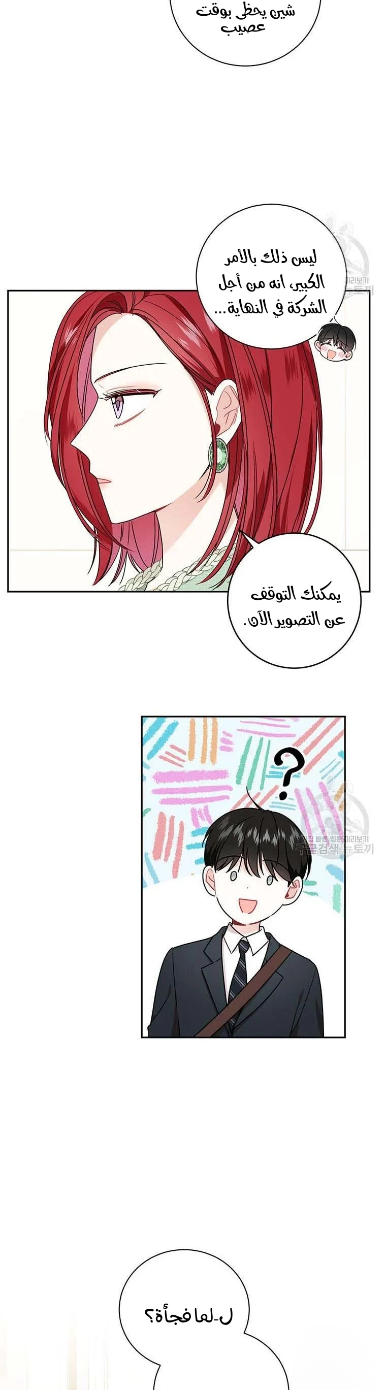 الصفحة 27