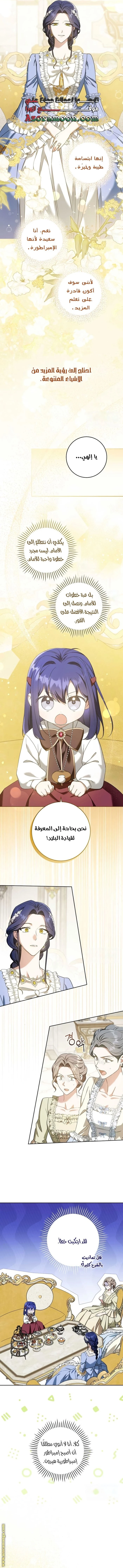 الصفحة 12