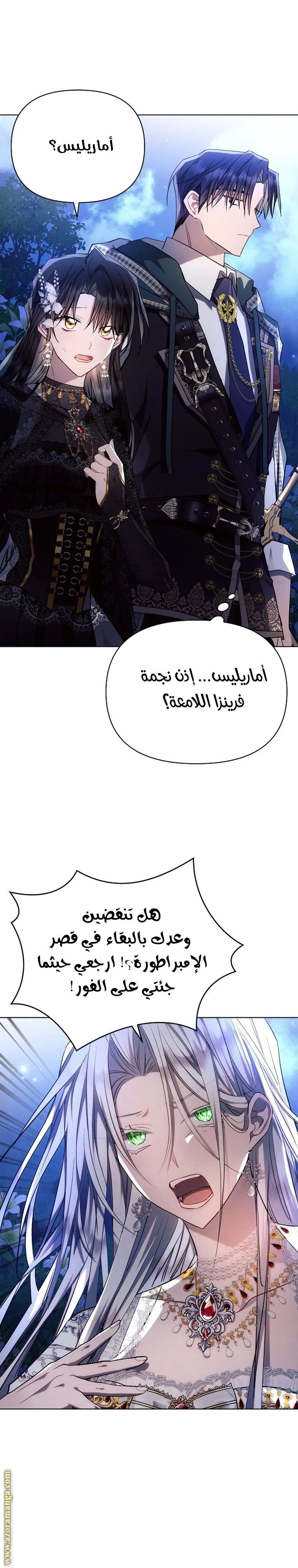 الصفحة 17