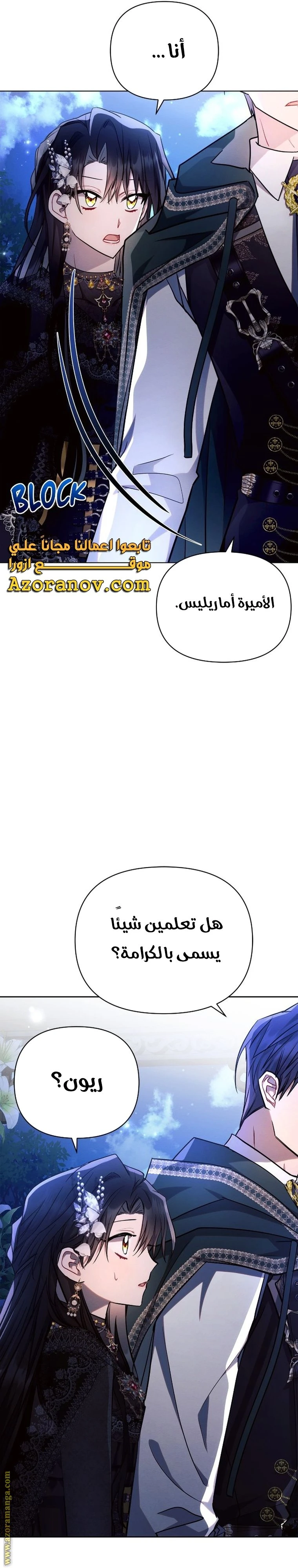الصفحة 21