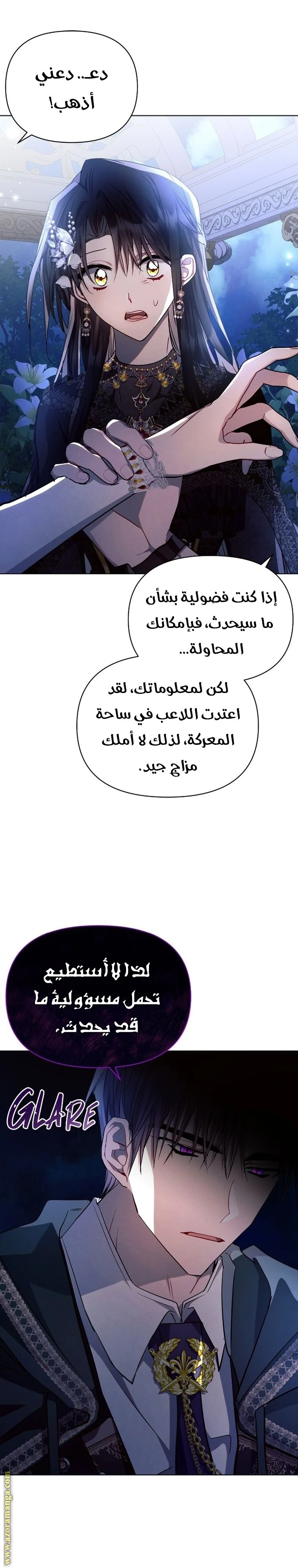 الصفحة 29