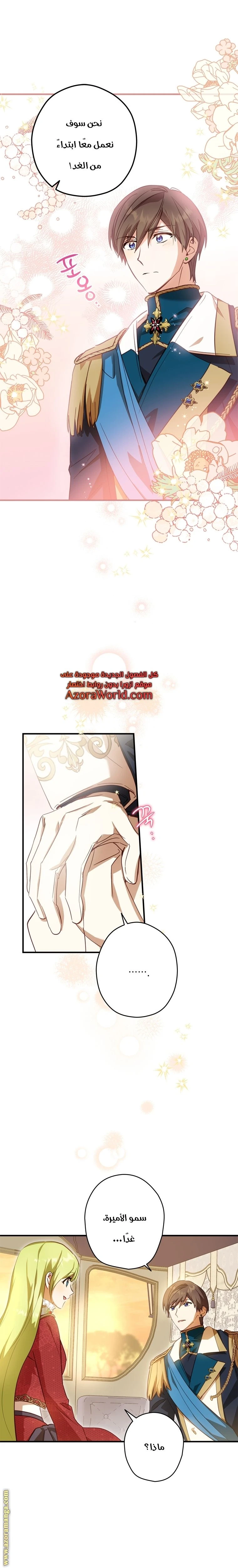 الصفحة 19