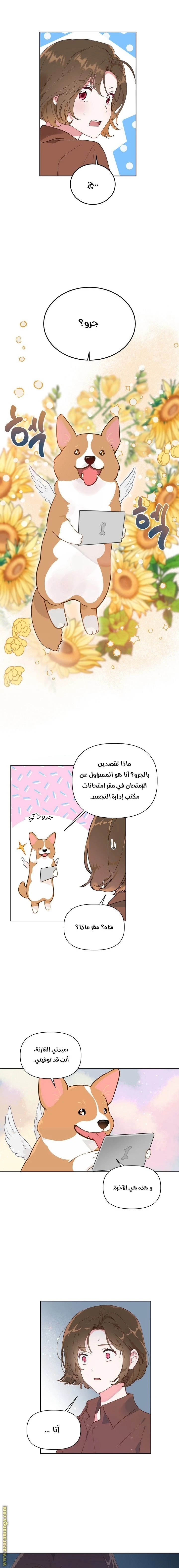 الصفحة 8