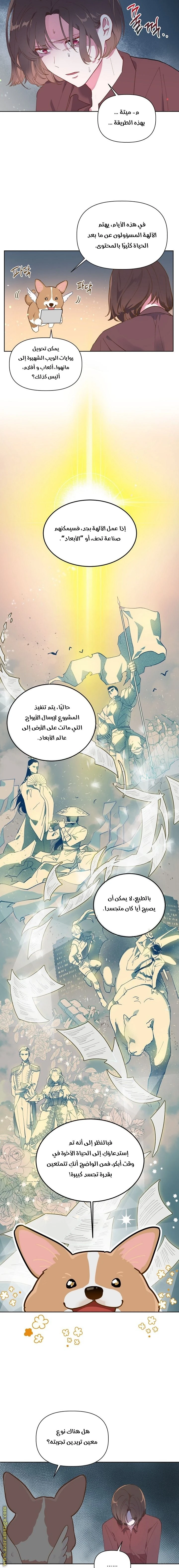 الصفحة 9