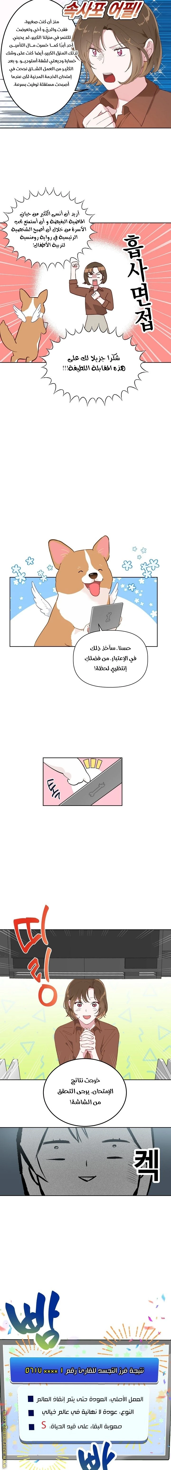 الصفحة 11