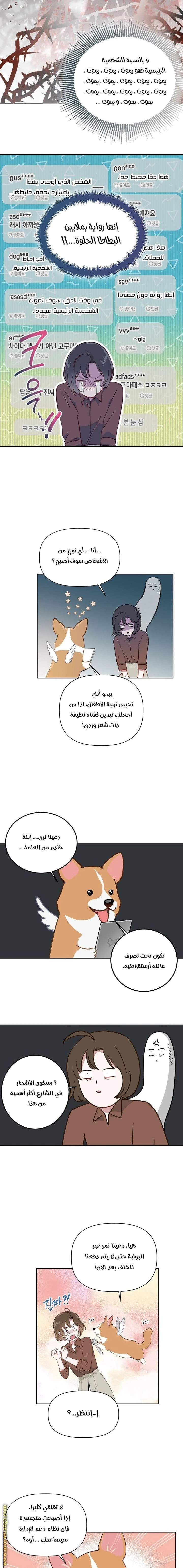 الصفحة 13