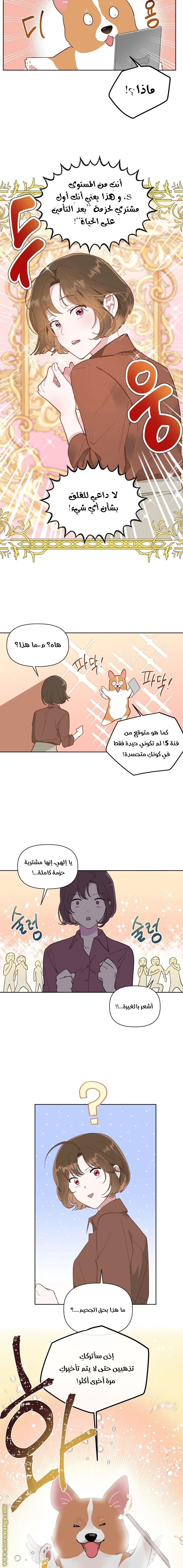 الصفحة 14