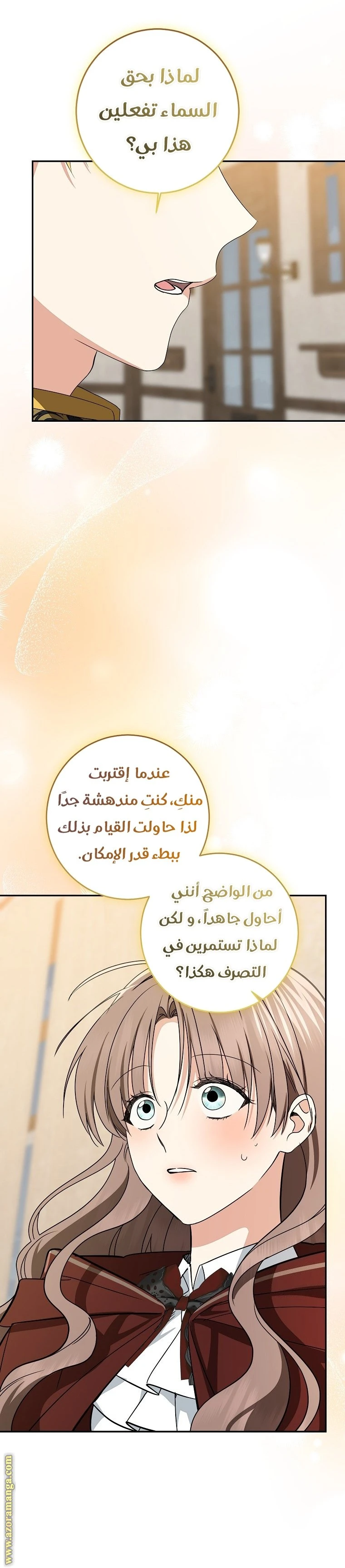 الصفحة 26