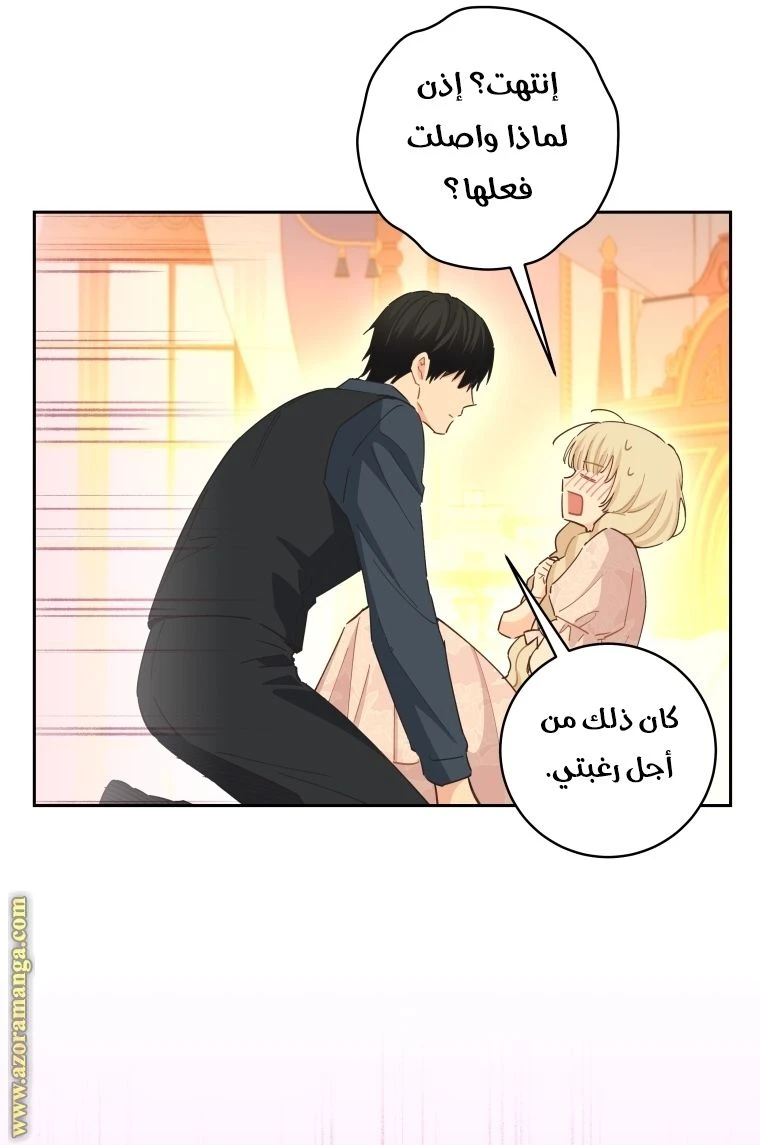الصفحة 17