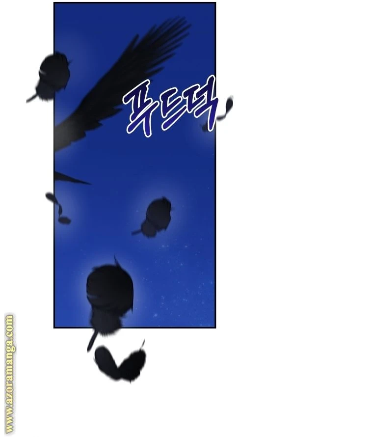 الصفحة 24