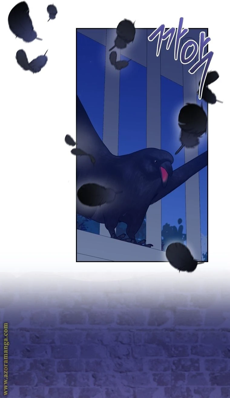 الصفحة 25