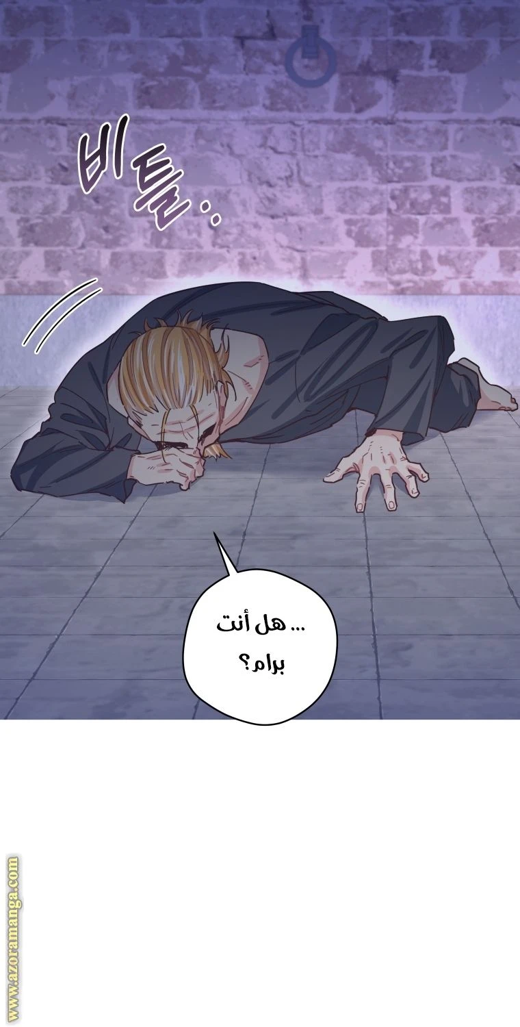 الصفحة 26