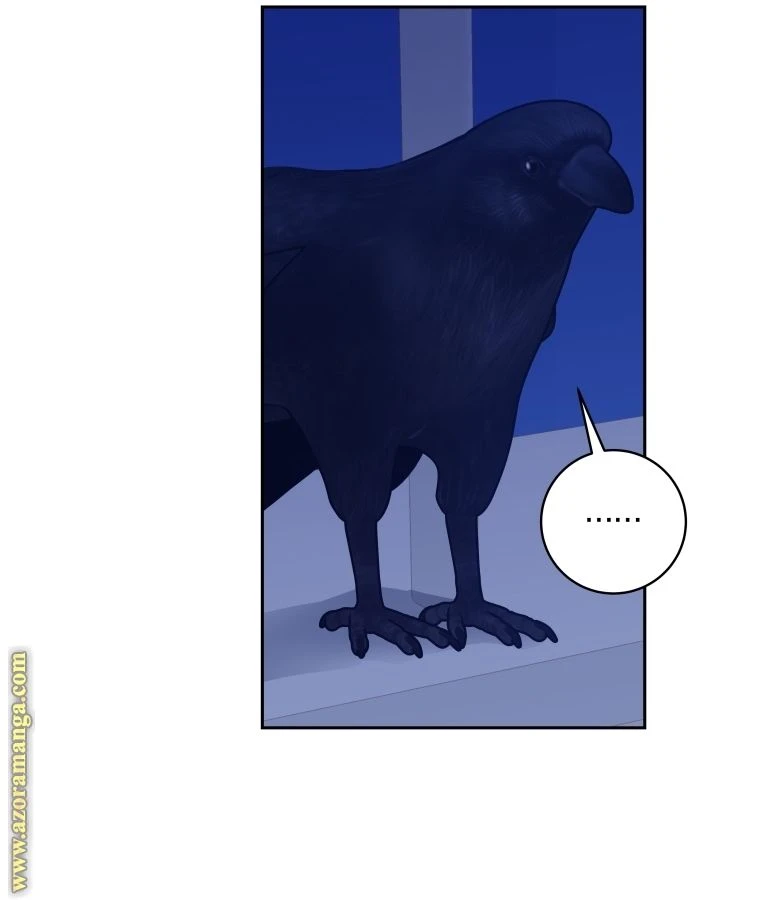 الصفحة 28