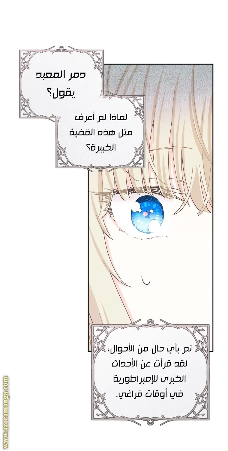 الصفحة 46