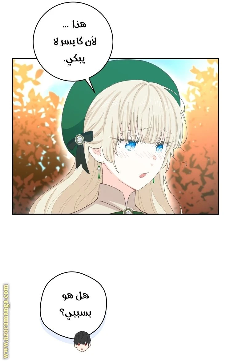 الصفحة 67