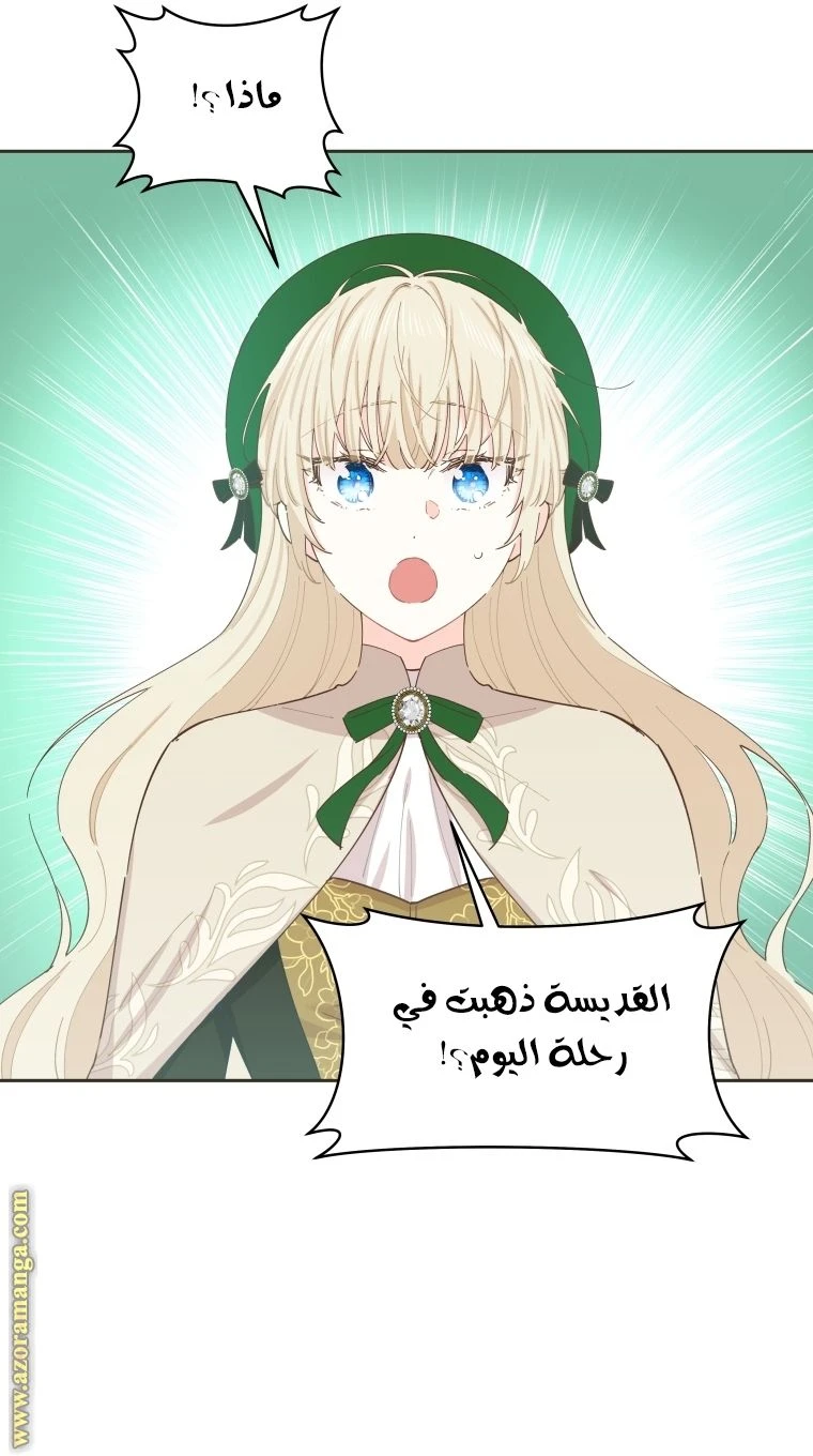 الصفحة 69