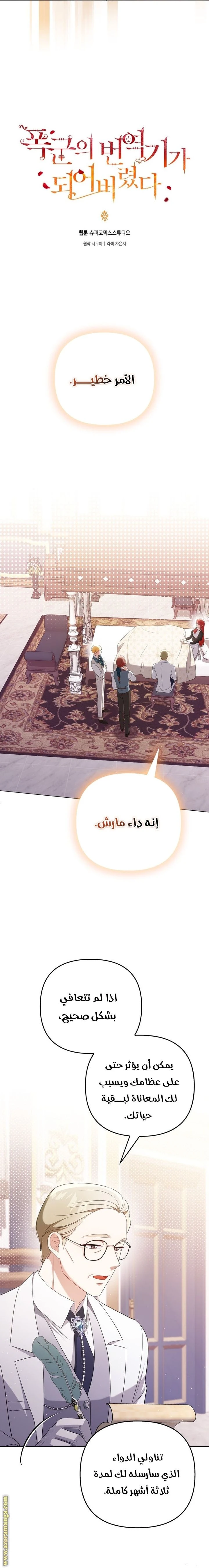 الصفحة 12