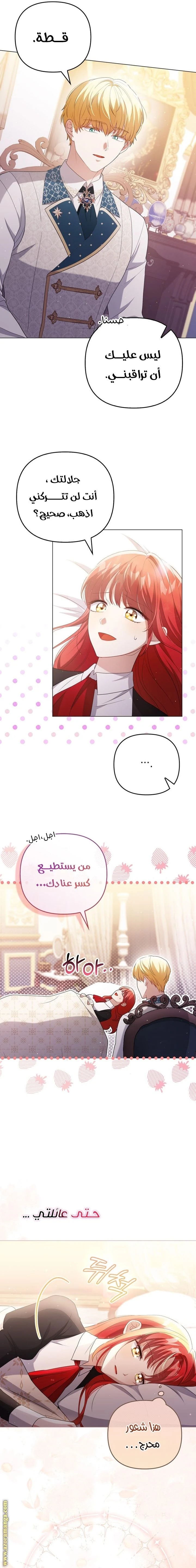 الصفحة 16