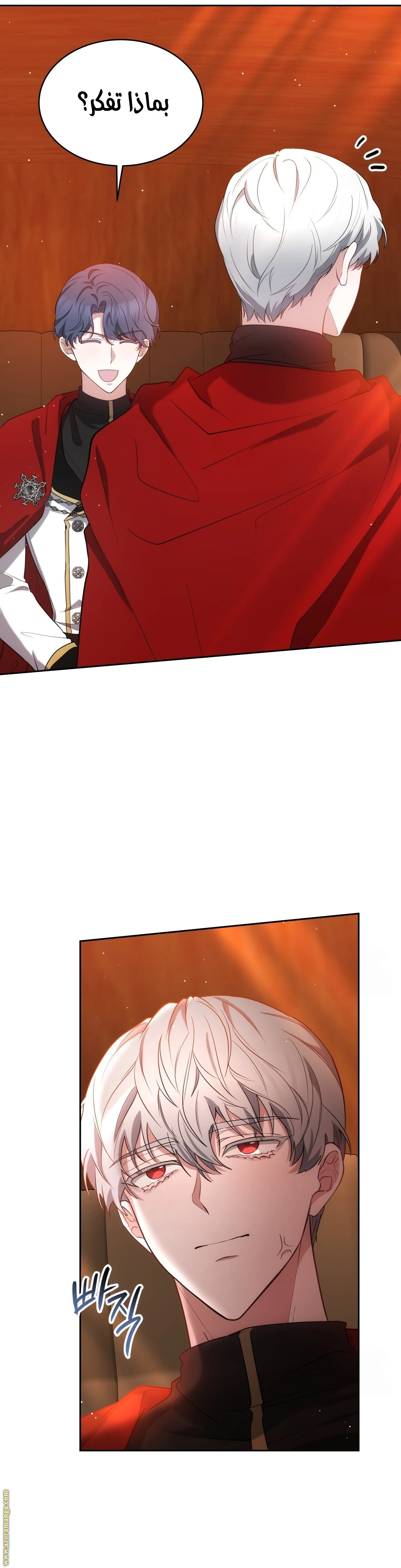 الصفحة 14