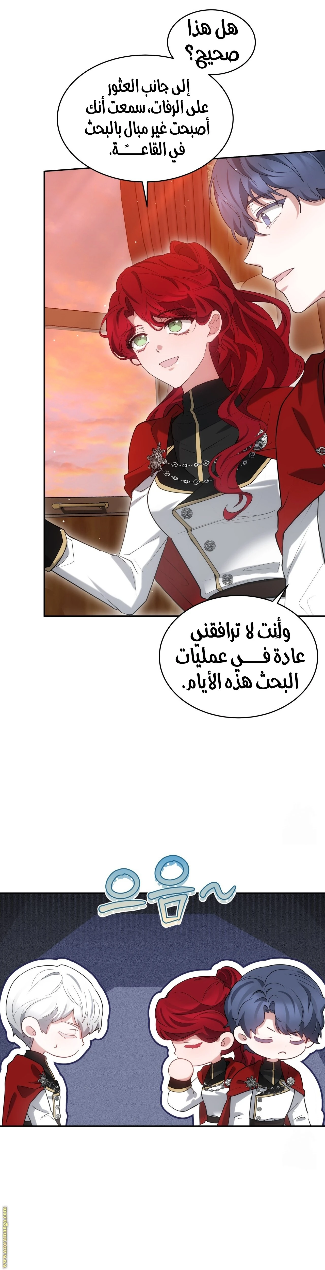 الصفحة 23