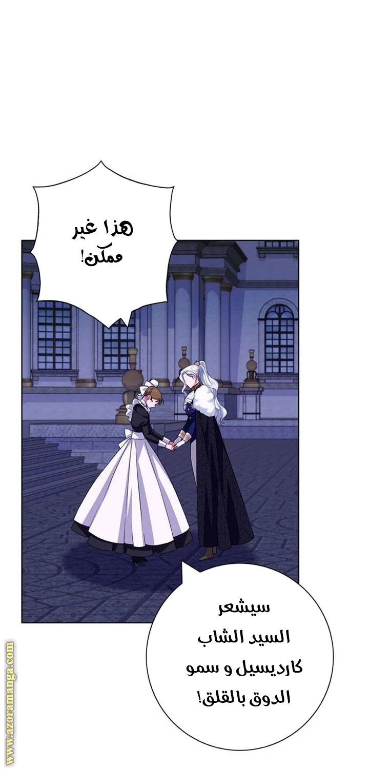 الصفحة 20