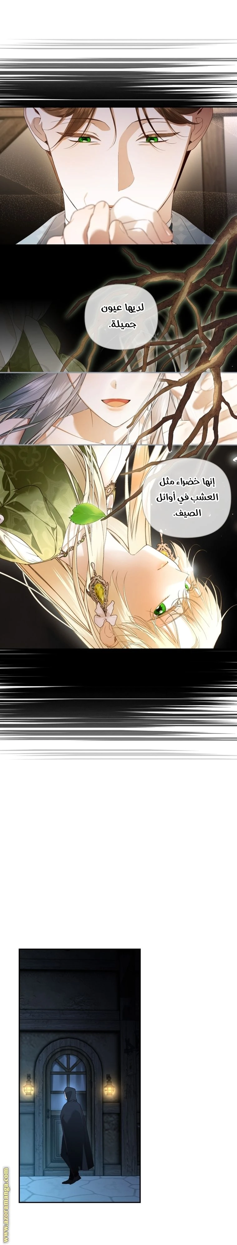 الصفحة 12