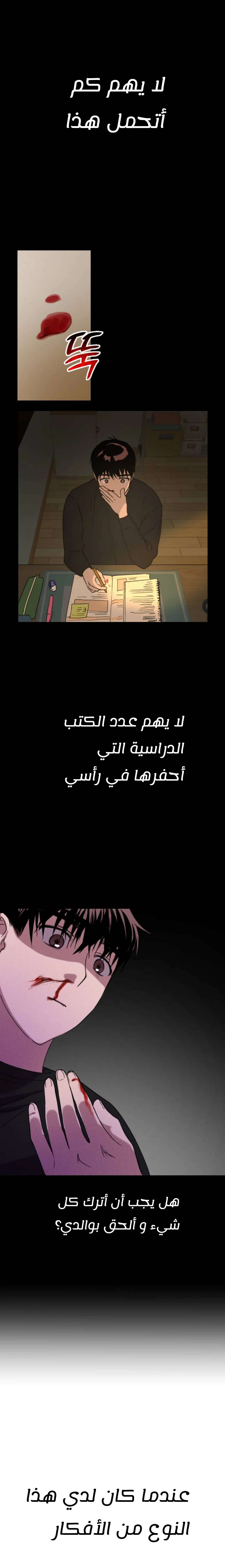 الصفحة 17