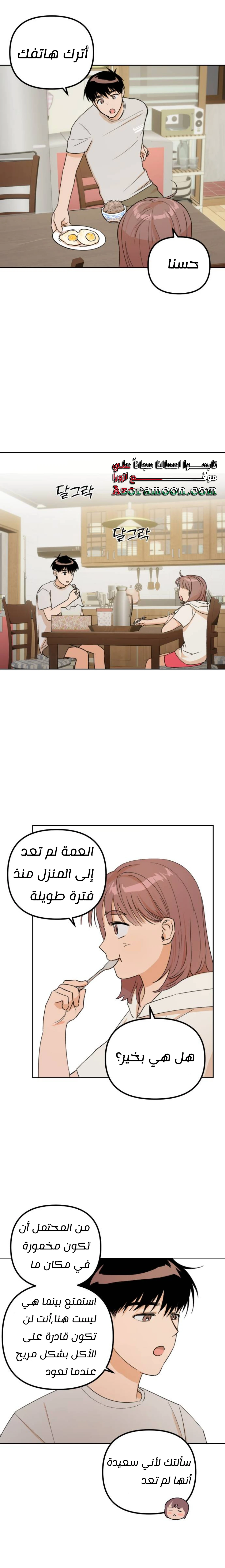 الصفحة 31