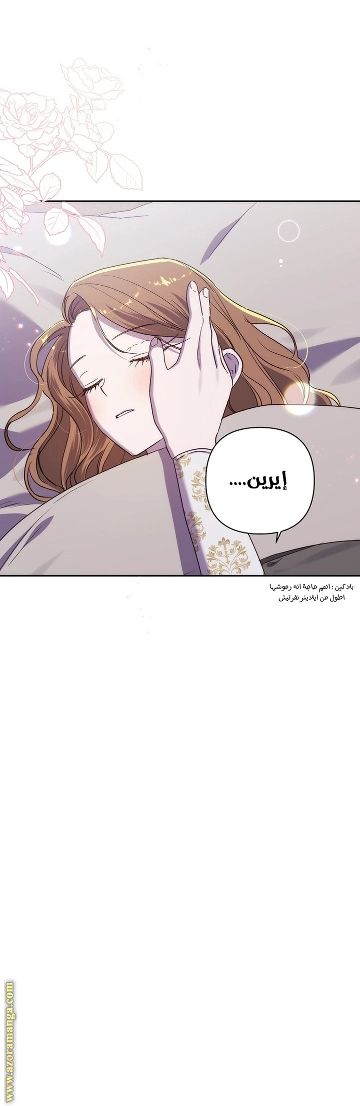 الصفحة 13