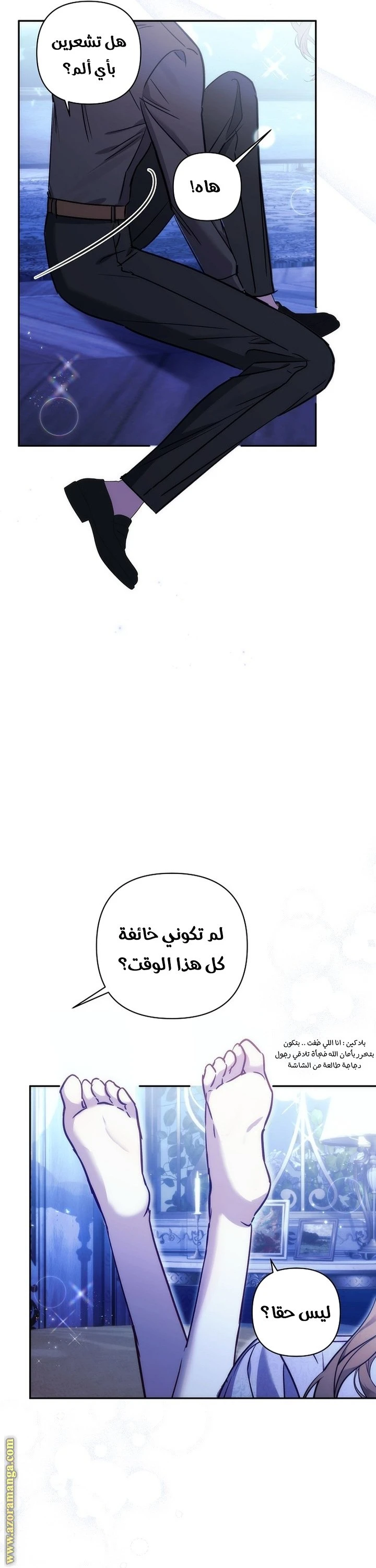 الصفحة 27