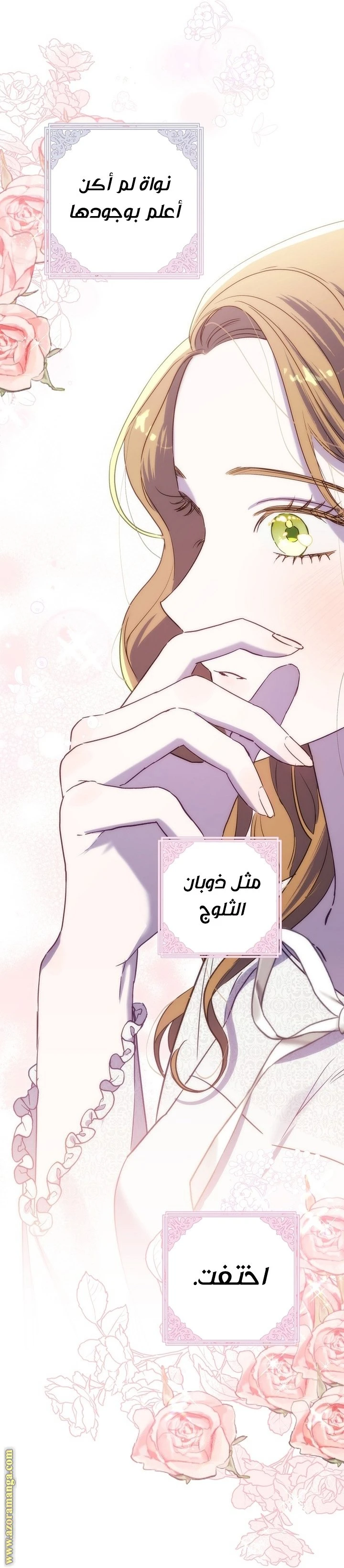 الصفحة 43