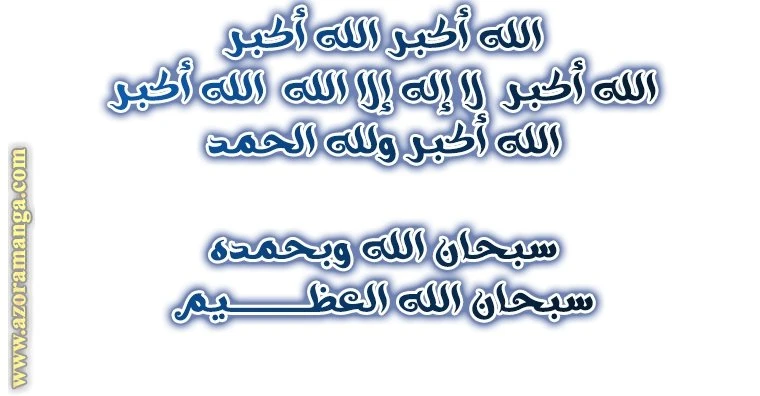 الصفحة 63