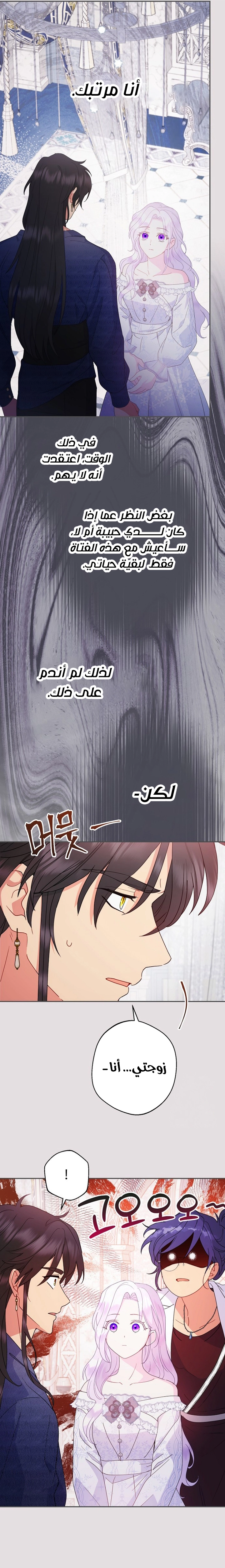 الصفحة 27