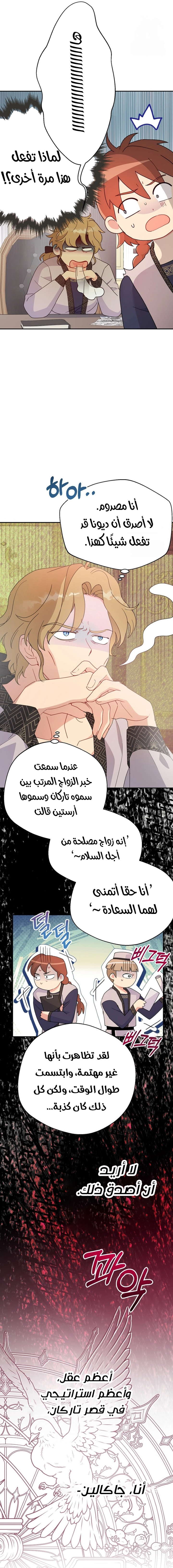الصفحة 31