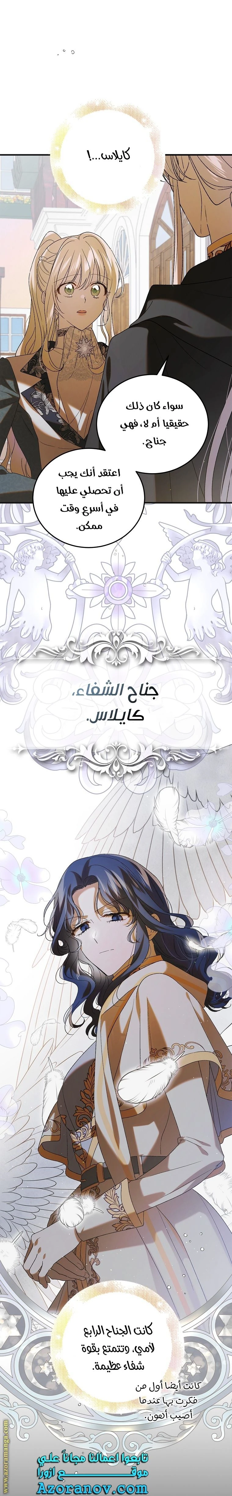 الصفحة 17