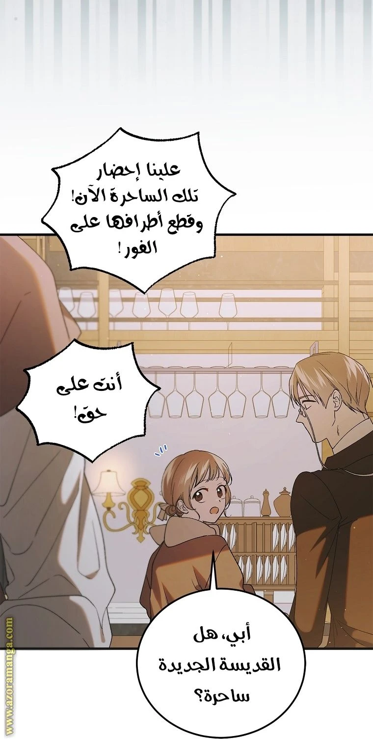 الصفحة 25