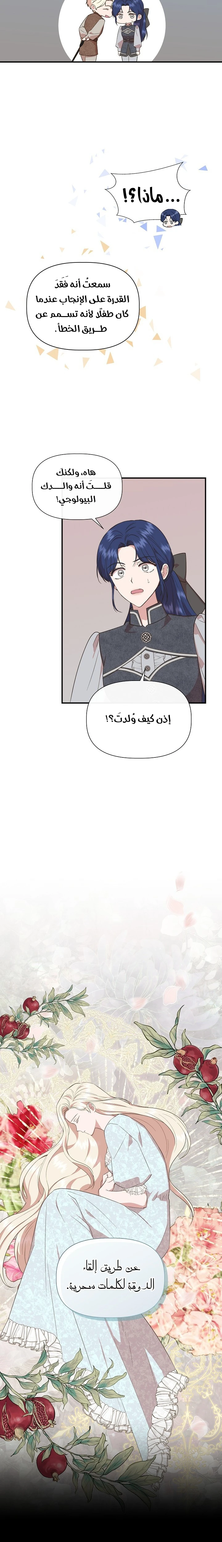 الصفحة 15