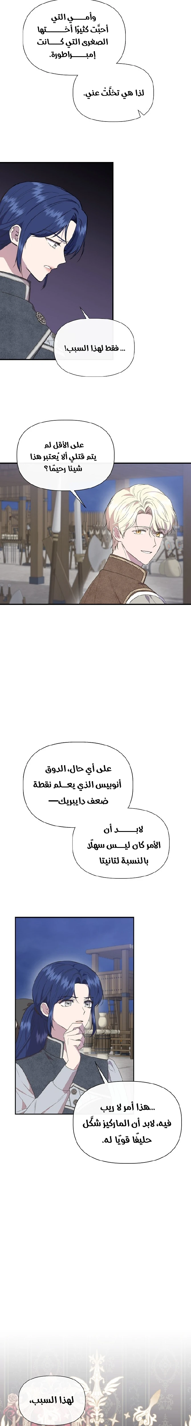 الصفحة 17