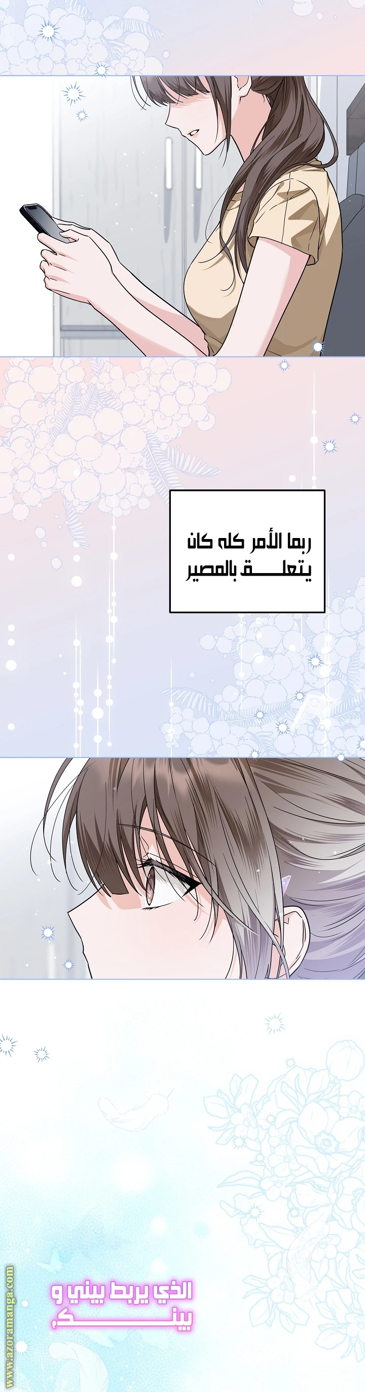 الصفحة 14