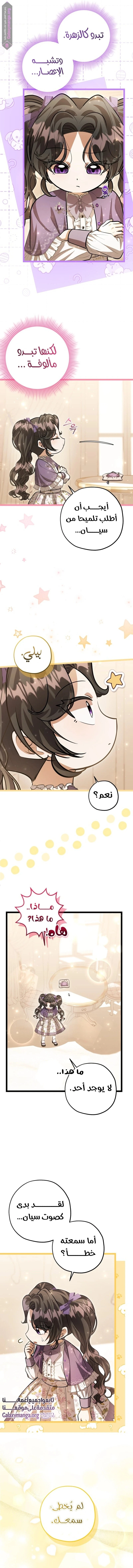 الصفحة 3