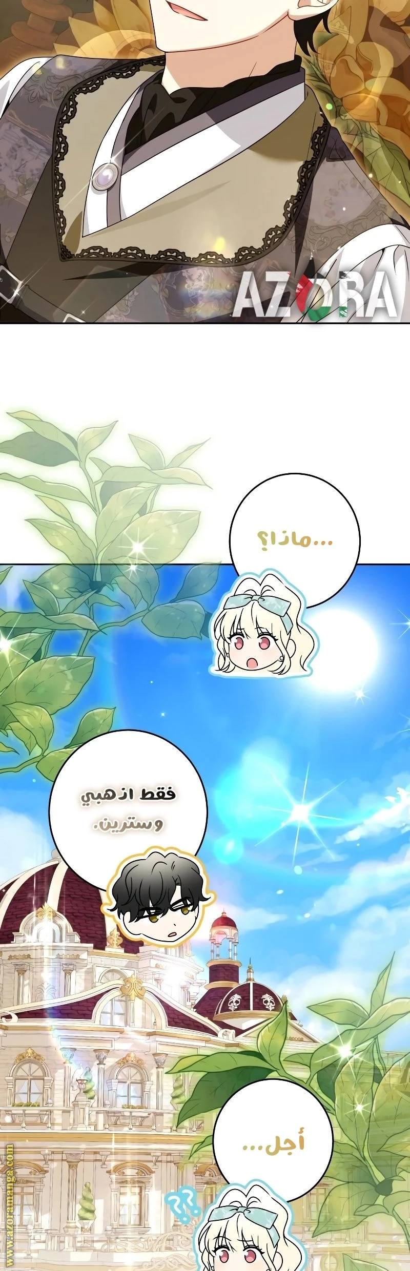 الصفحة 17