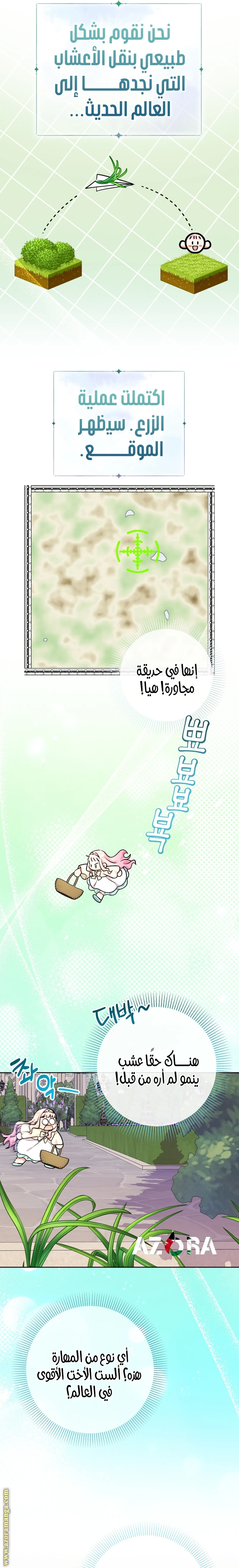 الصفحة 11