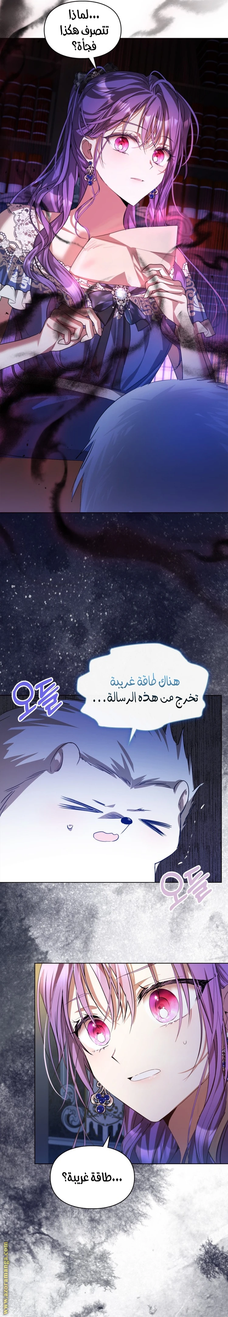 الصفحة 13
