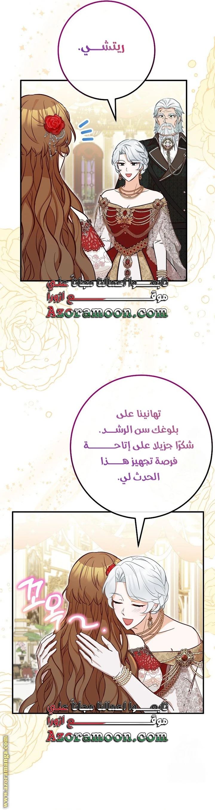 الصفحة 17