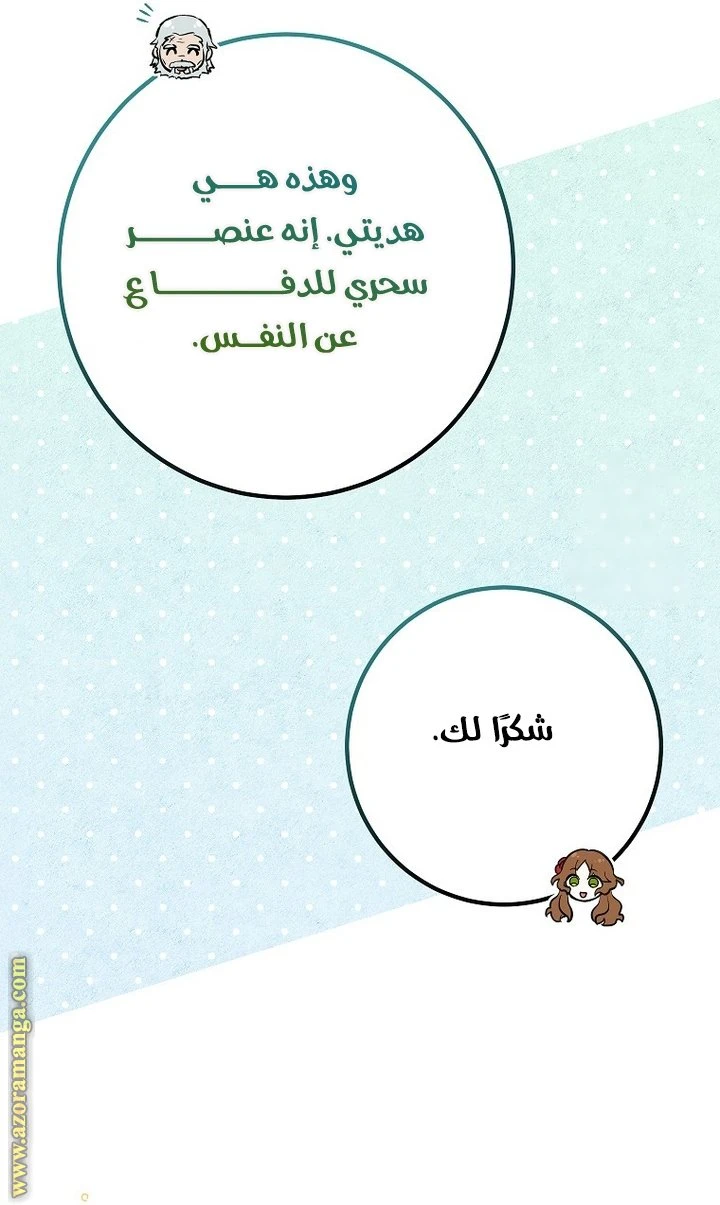 الصفحة 21