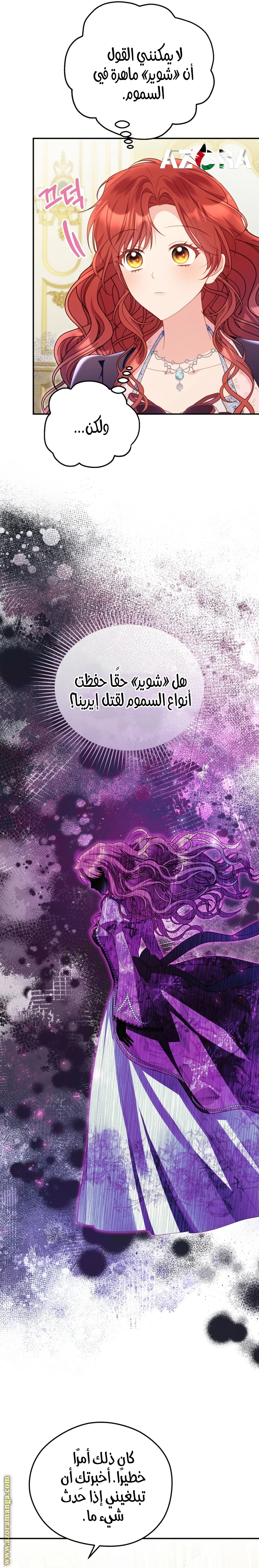 الصفحة 13