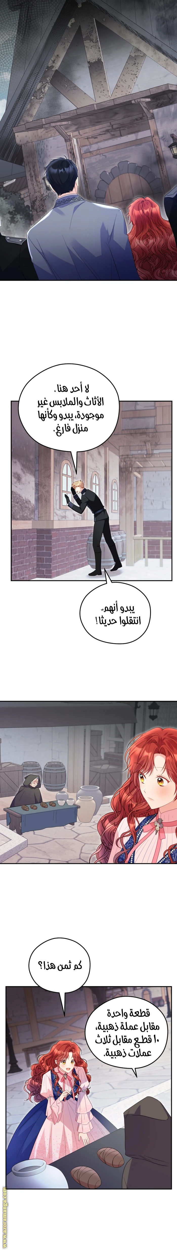 الصفحة 17