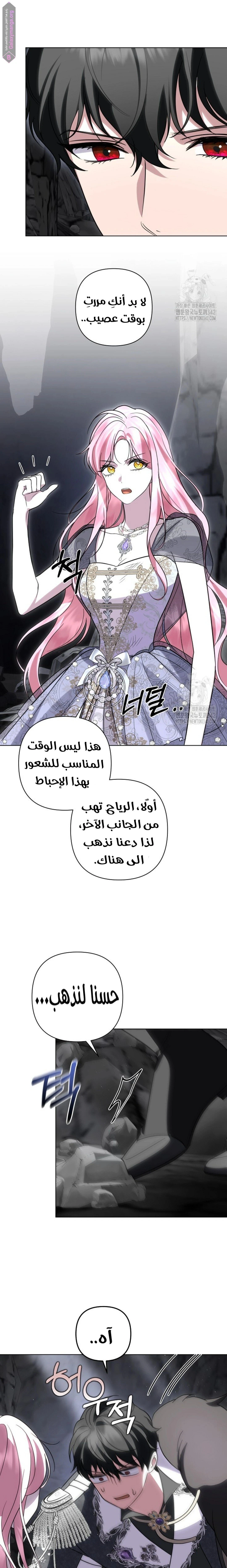 الصفحة 14