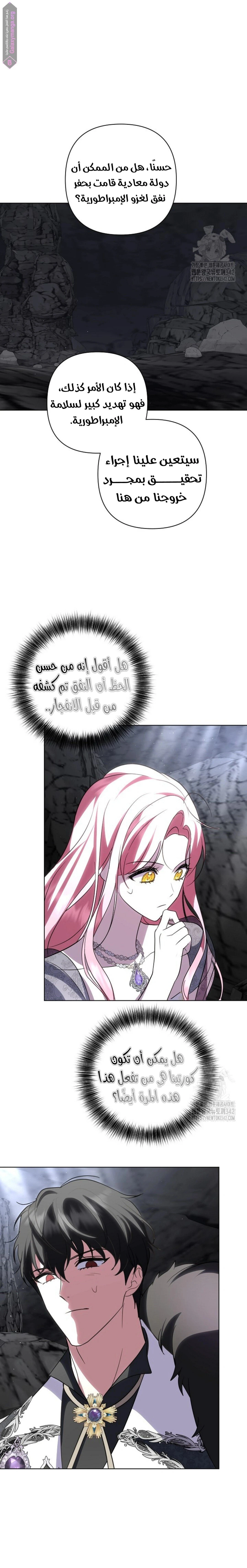 الصفحة 17