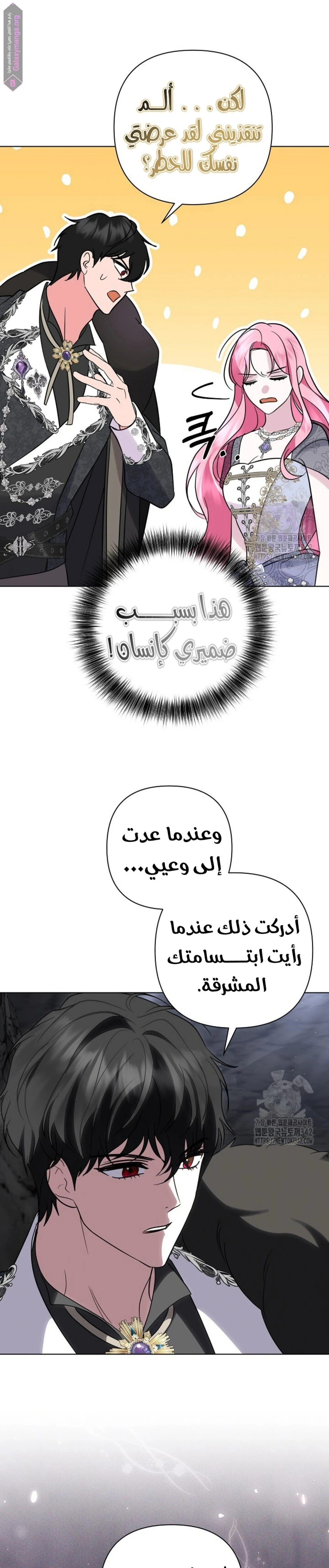 الصفحة 20